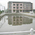 新勝村(雲南省大理市雲龍縣諾鄧鎮龍飛新勝村) 新勝村(雲南省大理市雲龍縣諾鄧鎮龍飛新勝村)