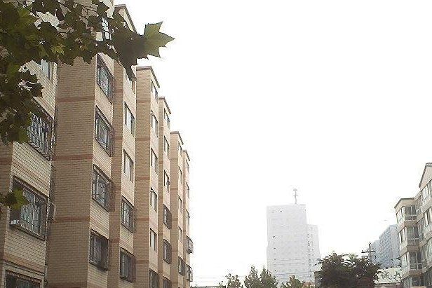 羊頭峪東溝 羊頭峪東溝