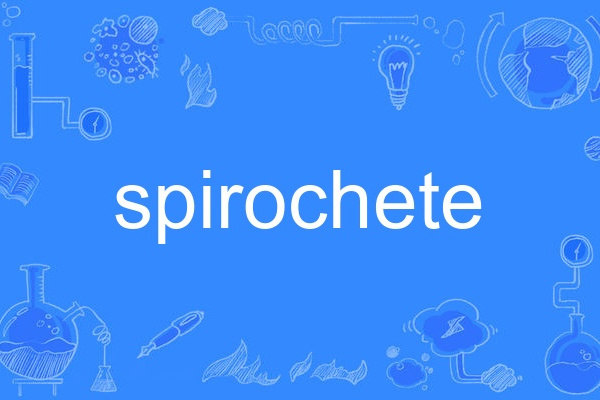 spirochete spirochete