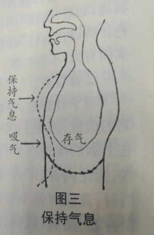 常派(豫劇流派)