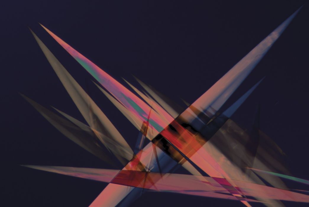 Immunity(2013年喬·霍普金斯發行專輯) Immunity(2013年喬·霍普金斯發行專輯)