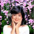 碎心戀(鄧麗君演唱歌曲) 碎心戀(鄧麗君演唱歌曲)