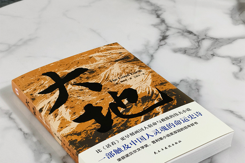 大地(2024年民主與建設出版社出版的圖書) 大地(2024年民主與建設出版社出版的圖書)