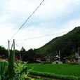 西溪(浙江省龍泉市龍南鄉西溪村) 西溪(浙江省龍泉市龍南鄉西溪村)