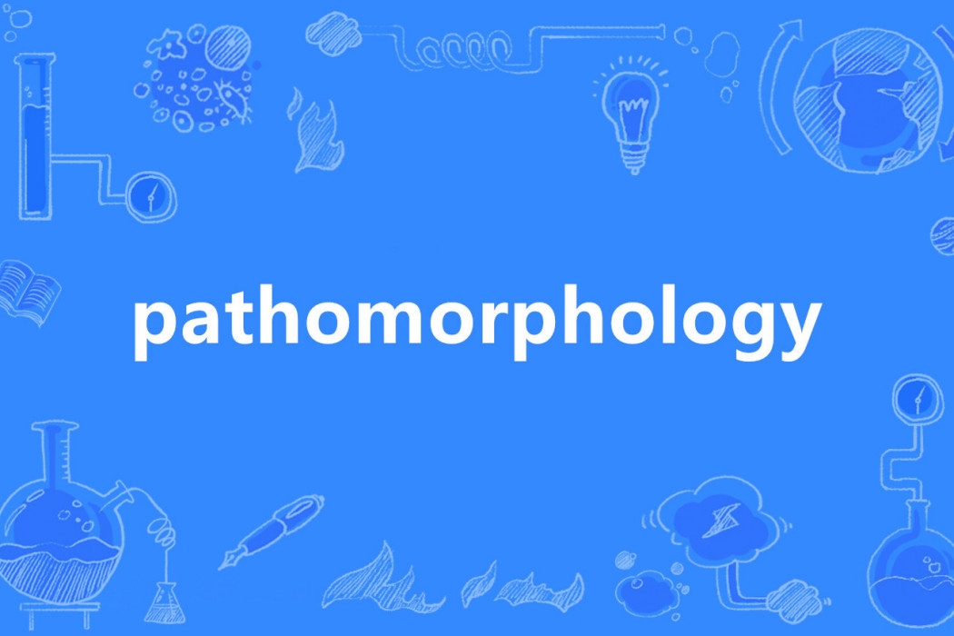 pathomorphology pathomorphology