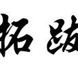 拓跋姓(拓跋)