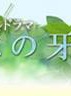 蓮佛美沙子 蓮佛美沙子