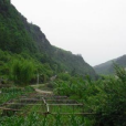 鄭家坳村 鄭家坳村