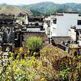 長灘村(廣東省揭陽市揭西縣京溪園鎮下轄村) 長灘村(廣東省揭陽市揭西縣京溪園鎮下轄村)