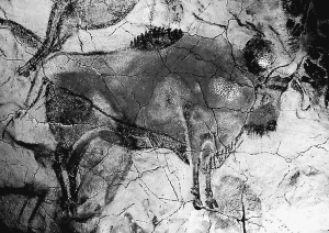 阿爾塔米拉洞窟中的岩畫野牛