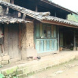 大田河村 大田河村