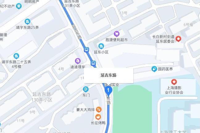 延吉東路 延吉東路