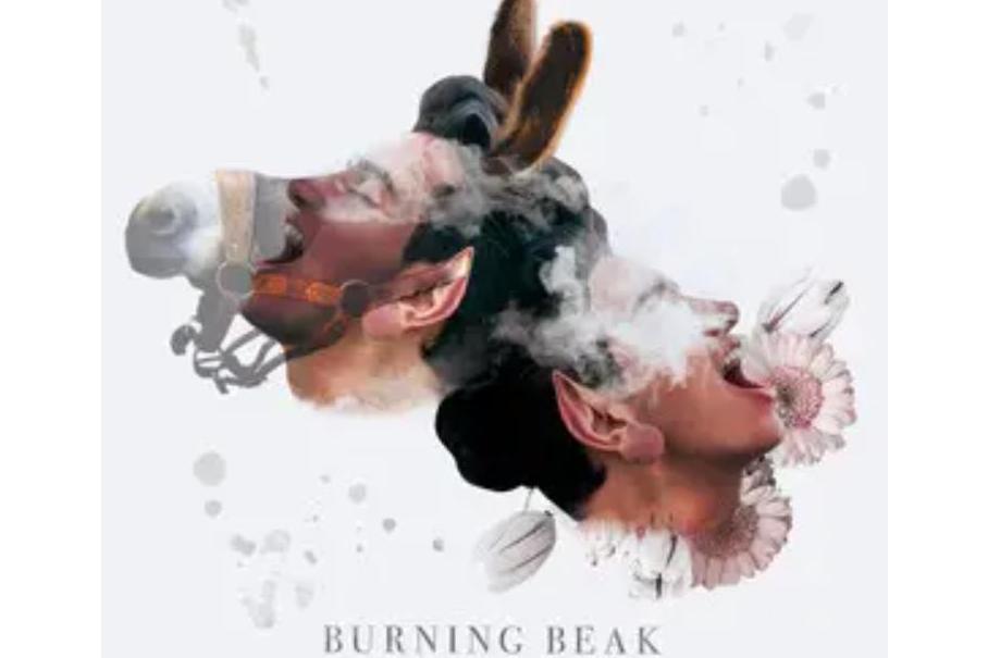 騎驢(Burning Beak《騎驢》專輯中的歌曲) 騎驢(Burning Beak《騎驢》專輯中的歌曲)