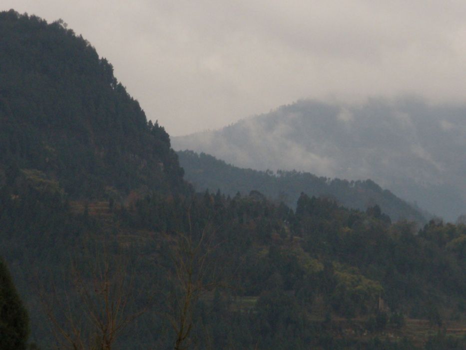 碗山村 碗山村