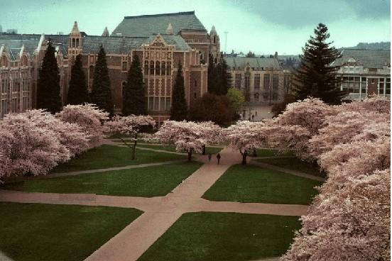 西雅圖華盛頓大學