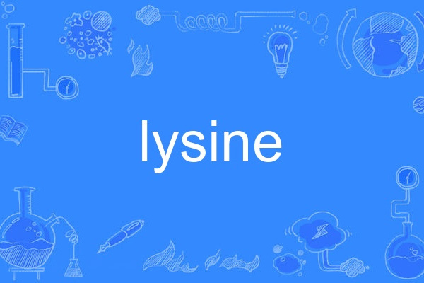lysine lysine