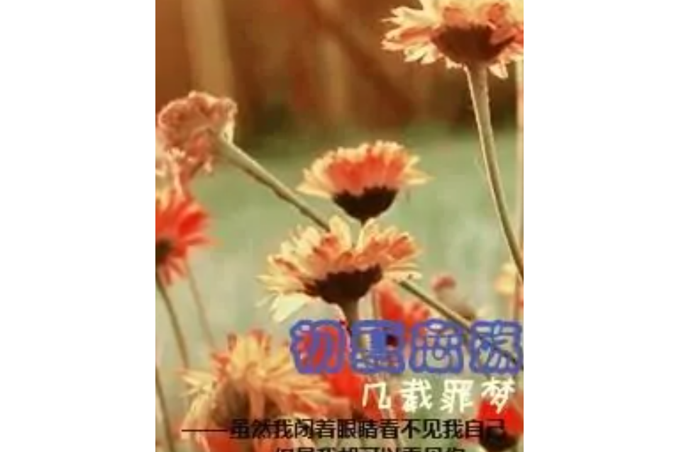 初夏戀殤 初夏戀殤