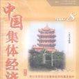 集體經濟 集體經濟