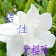 碧佳 碧佳