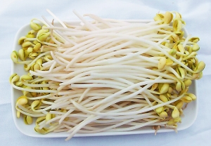 黃豆芽