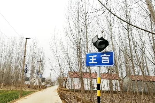 王言村 王言村