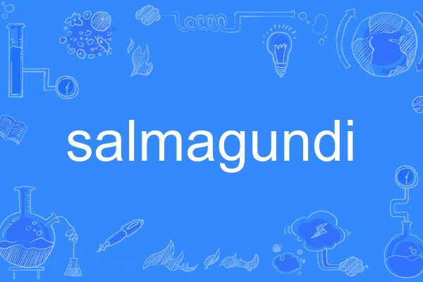 salmagundi salmagundi
