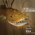 放電魚 放電魚