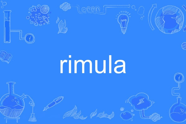 rimula rimula