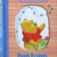 Disney Winnie the Pooh Music Box Disney Winnie the Pooh Music Box