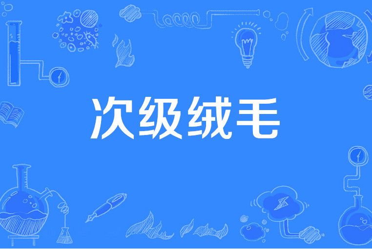 次級絨毛 次級絨毛