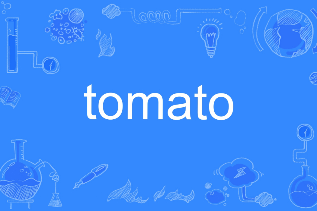 tomato(英語單詞) tomato(英語單詞)