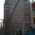 金台里 金台里