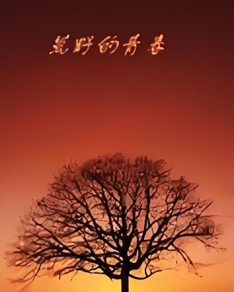 青春晚安 青春晚安