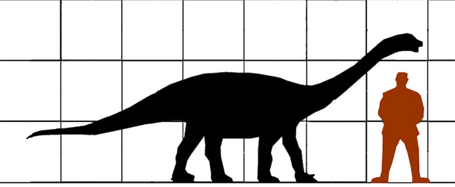 火山齒龍與人類的體型相比圖