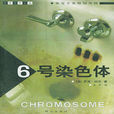 6號染色體 6號染色體