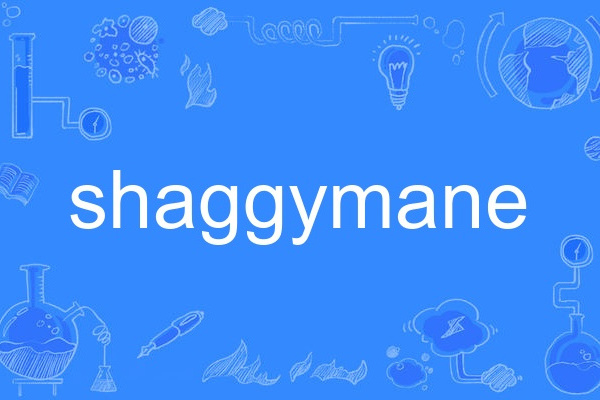 shaggymane
