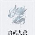 真武九荒 真武九荒