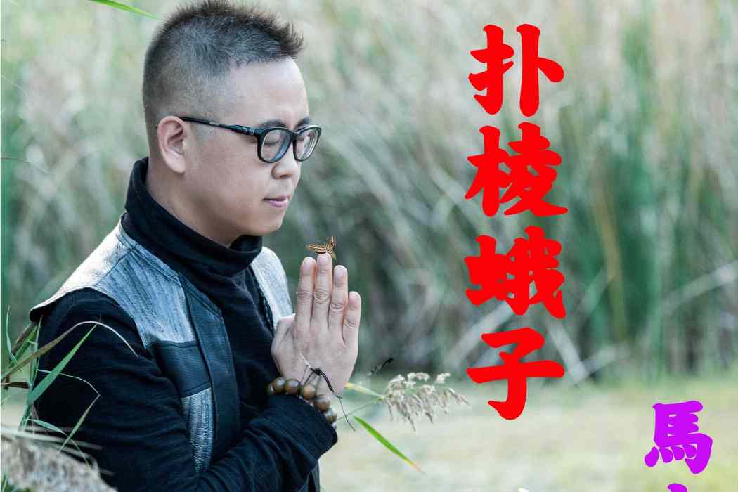 撲棱蛾子(馬山虎作曲演唱的原創歌曲) 撲棱蛾子(馬山虎作曲演唱的原創歌曲)
