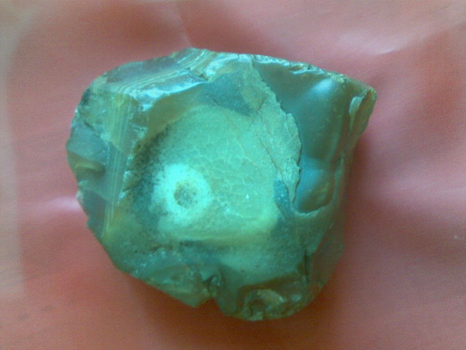 石中魚 石中魚