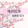 撞到狐狸 撞到狐狸