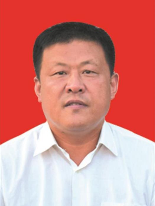 楊炳偉(安徽省阜陽市潁上縣陳橋鎮鎮長) 楊炳偉(安徽省阜陽市潁上縣陳橋鎮鎮長)