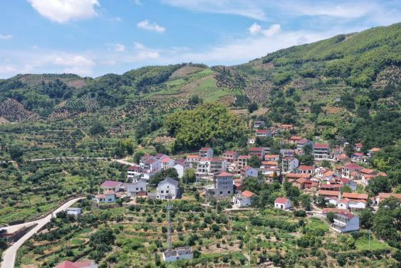 白雁坑村 白雁坑村