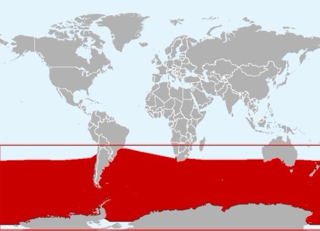 阿氏貝喙鯨分布區域（標註紅色海洋區域）