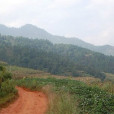 豐家灣村 豐家灣村
