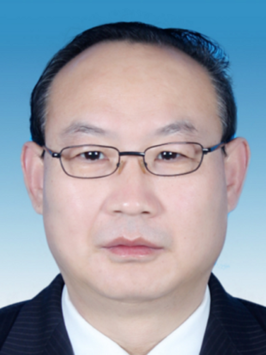 陳文杰(山東省泰安市泰山區醫療保障局黨組成員、二級主任科員) 陳文杰(山東省泰安市泰山區醫療保障局黨組成員、二級主任科員)