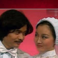 小夫妻(1979年黃杏秀主演TVB電視劇)
