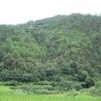 培龍村(雲南省牟定縣蟠貓鄉培龍村) 培龍村(雲南省牟定縣蟠貓鄉培龍村)