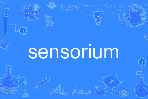 sensorium sensorium