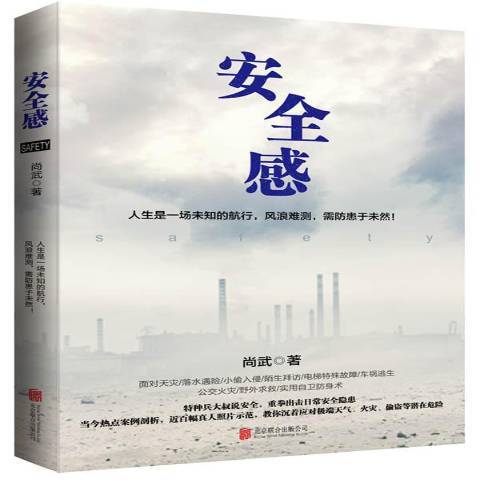 安全感(2015年北京聯合出版公司出版的圖書) 安全感(2015年北京聯合出版公司出版的圖書)