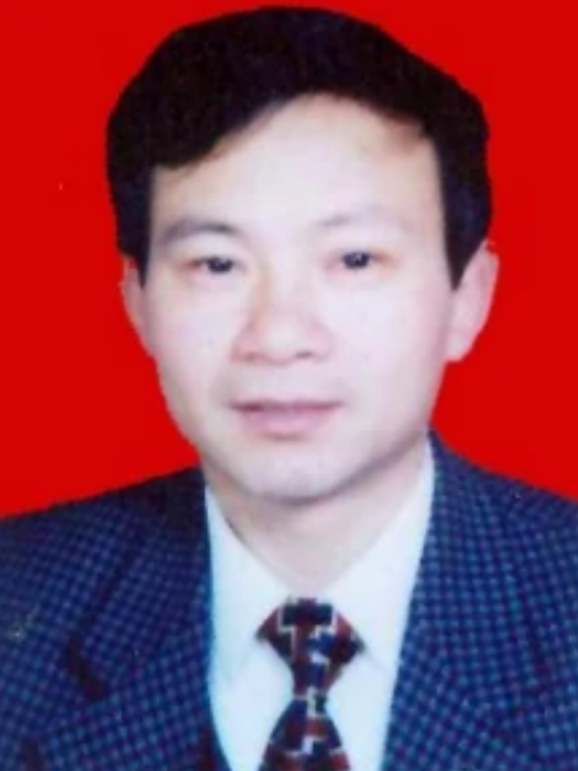 程金平(羅田縣人大常委會副主任) 程金平(羅田縣人大常委會副主任)